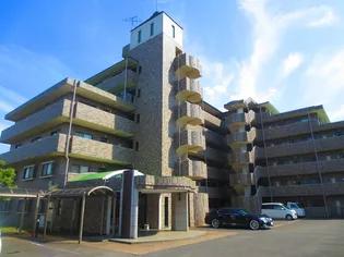 ドルフソニアドーロの画像