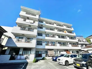 CAPRI YANAKAの画像