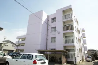 シャトレ徳島【3階】の外観