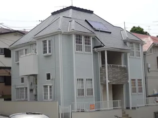 ドルフ東海大の画像