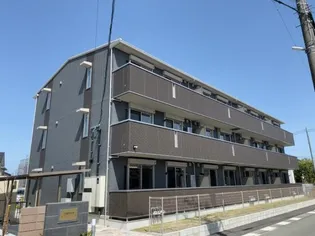 ルピナスの画像