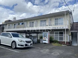 ブロケイドの画像