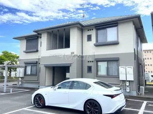 パーシモンツリーBの画像