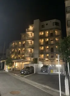 CIERO WISTERIAの画像