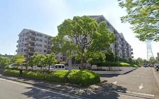 カスタネア栗平の画像