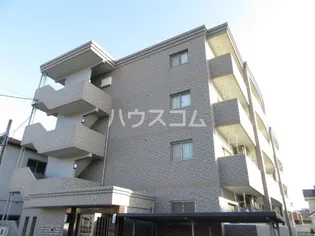 FELICE GATTO WADAの画像