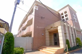 ルピナスの画像