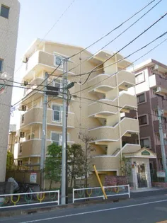 シンシアの画像