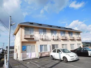 ジョージアンミューズの画像