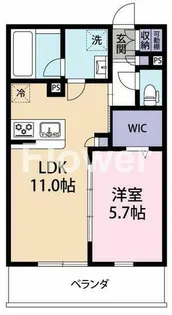 カルム弐番館【1階】の間取り