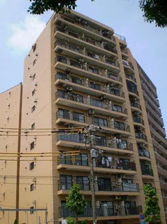 パシフィックパレス池の端【7階】の外観