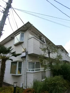 フレグランスゆりの木の画像