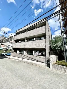 アンプルールフェールカメリアの画像