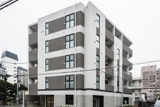 ステラフォートの画像