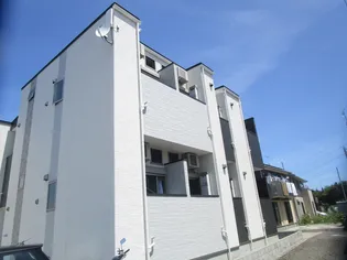 NUOVO VINCULUMの画像