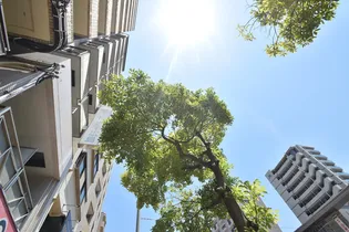 パートナー広島【9階】の外観