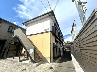 ピース水波の画像