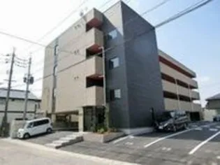 PRIMROSEの画像