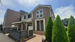 ローリエの画像