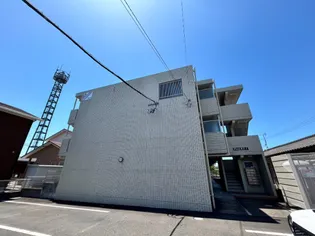 フォレスト7の画像