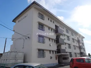 静岡県浜松市中央区芳川町【マンション】の外観