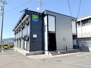 ステラミモーサの画像