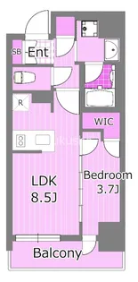 リビオメゾン横濱大通り公園【3階】の間取り