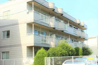 織平マンション リヴの画像