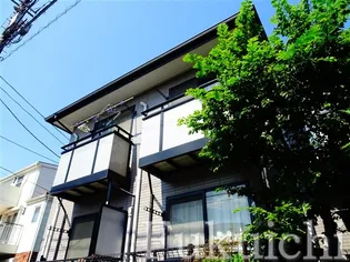 サンフラットセイジの画像