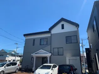 プリムローズの画像