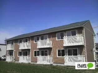 パルムドールの画像