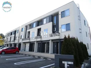 CHERRY BLOSSOMの画像