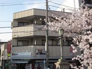 バイムフルス白金IIの画像