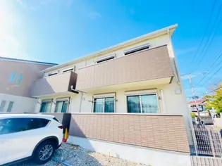 ヴィヴェールの画像