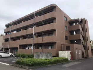 エムズ スクウェアの画像