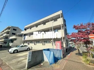 プラムの画像