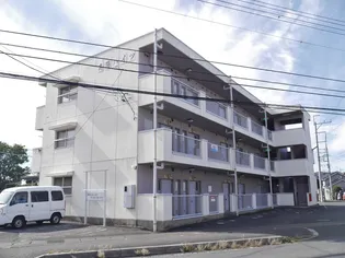 高陽ハイツ【3階】の外観