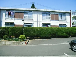 小松島ハイツB棟【2階】の外観