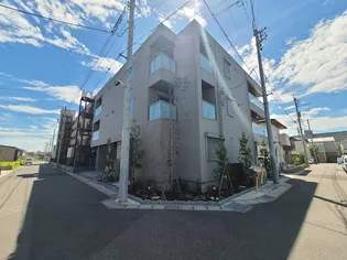 アミコートの画像