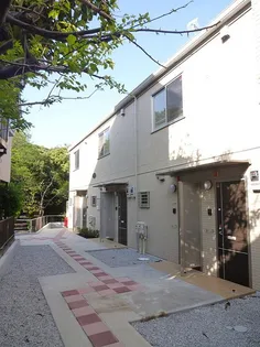 アケボノVIIIの画像