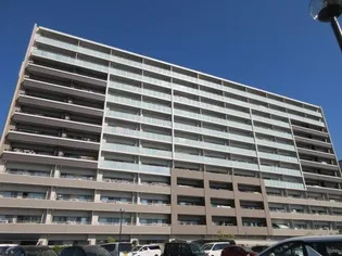 サーパスシティ平成マークテラス【8階】の外観