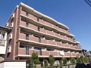 カスタナールの画像