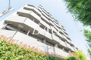 ルーブル武蔵小杉【6階】の外観