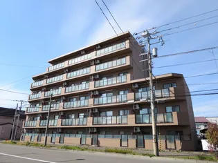 エターナル パレスの画像