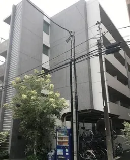 エリジェティートミガヤの画像