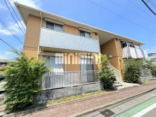 シャルマン タカラCの画像