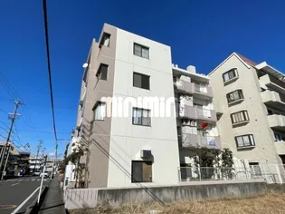 ブランチP Sの画像