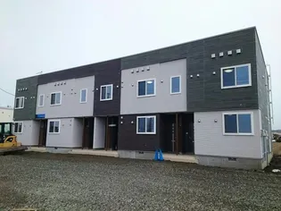 プルメリアVIの画像