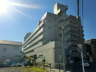 ベイ ドルフィンの画像