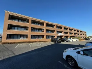 ベルヴィラージュの画像